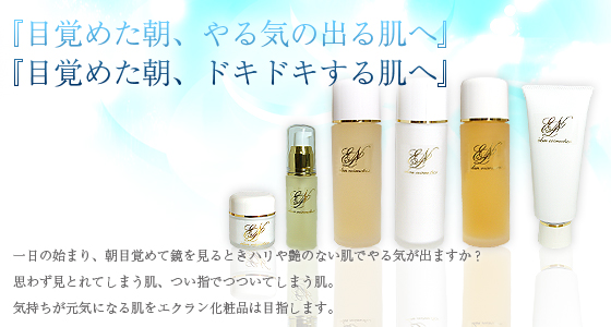 �G�N�������ϕi�ɂ���