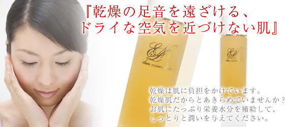 �G�N�������C�X�`���[���[�V����(�������p���ϐ�)