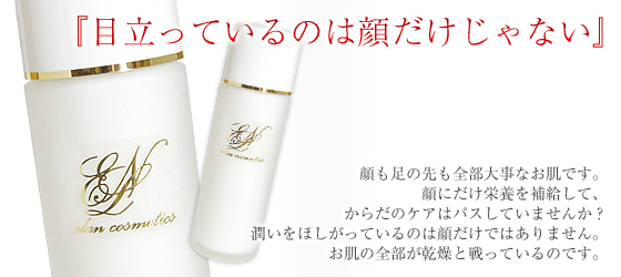 �G�N�����{�f�B�~���N