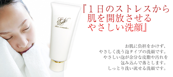 �G�N�������t�H�[��